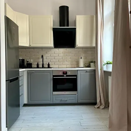 Klimatyczne Mieszkanie W Centrum * 포즈난